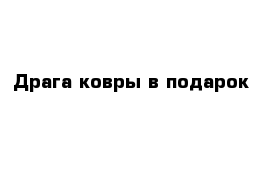 Драга ковры в подарок